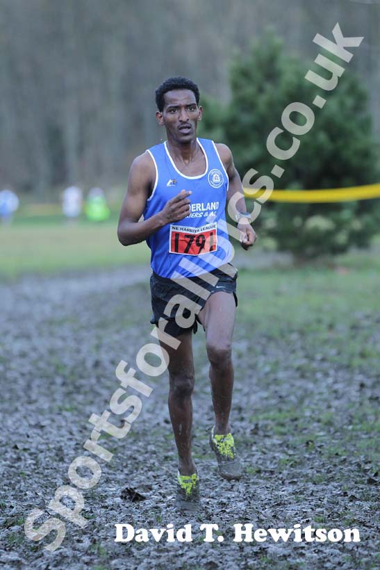 Eritrean athlete Weynay Ghebresilasie running for Sunderland Harriers on his way to third place in the Start First North East Harrier League, Jarrow.